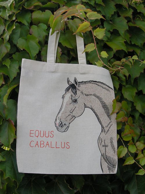 Taška EQUUS — foto 1