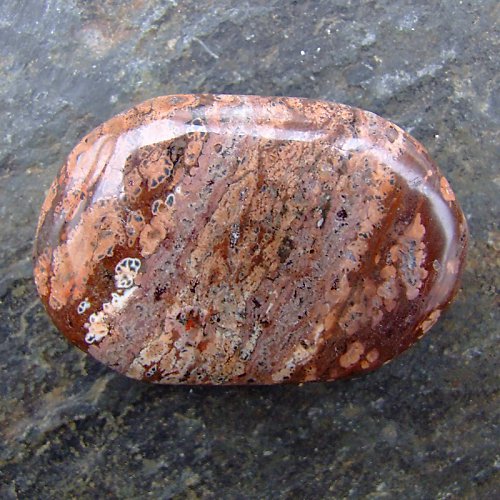 Jaspis Leopardí — foto 1