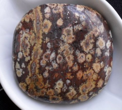 Jaspis leopard 42x42mm — foto 1