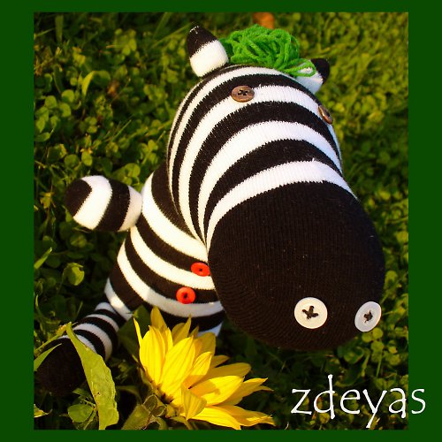 Pan Zebra — foto 1