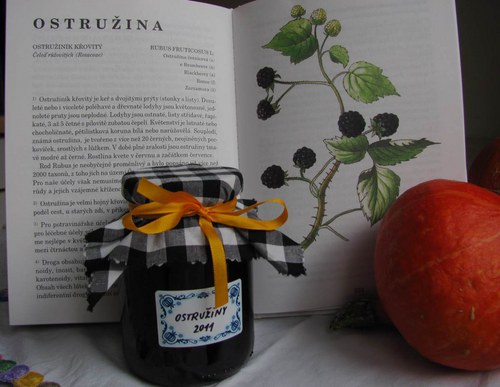 Ostružinový džem — foto 1