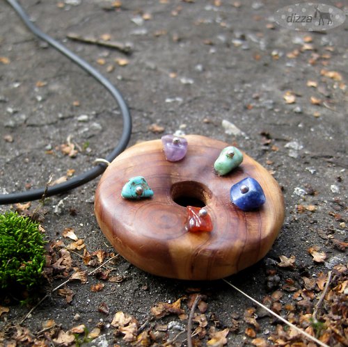 Cedrový disk — foto 1