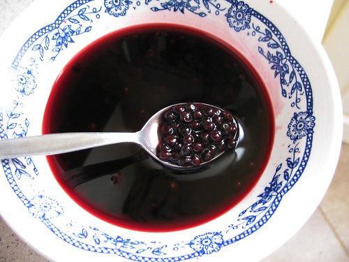 Bezinkový kompot — foto 1