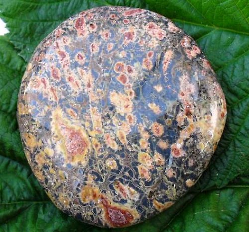 Jaspis leopard 44x48mm — foto 1