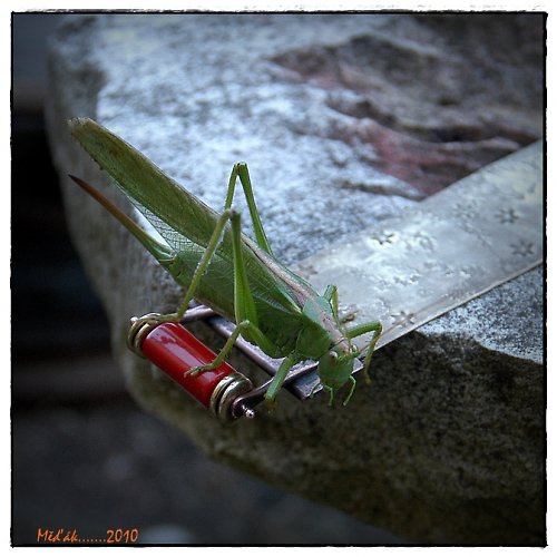 Nad hvězdami........ — foto 1