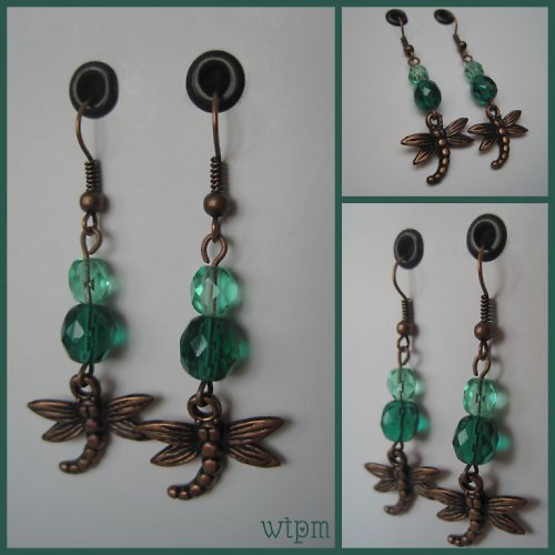 Dragonfly — foto 1