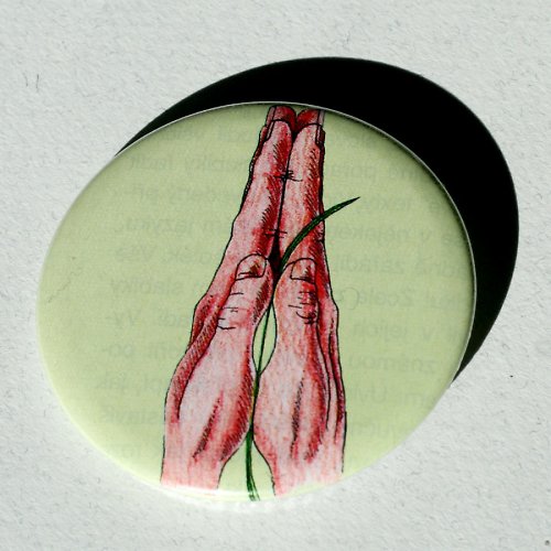 Placka 5,6 cm — foto 1