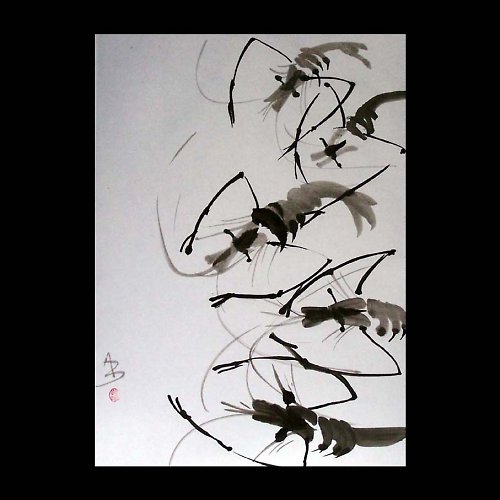 Krevety — foto 1