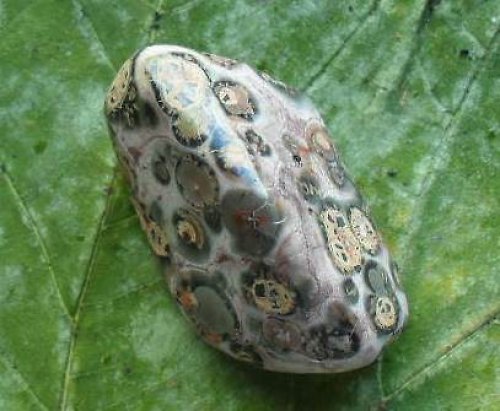 Jaspis leopard 27x14x14mm — foto 1