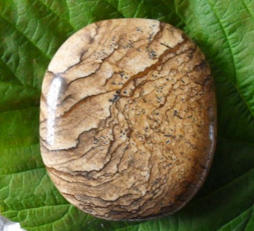 Obrázkový jaspis 43x38mm — foto 1