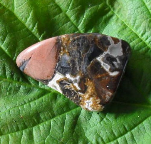 Jaspis leopard 27x19x11mm — foto 1