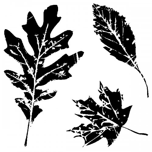 Razítka - LEAVES — foto 1