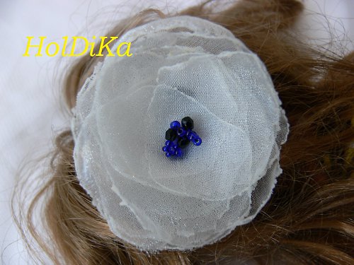 Běloulinkatý skřipeček — foto 1