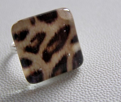 Leopard — foto 1