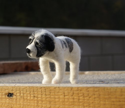Hector:-) — foto 1