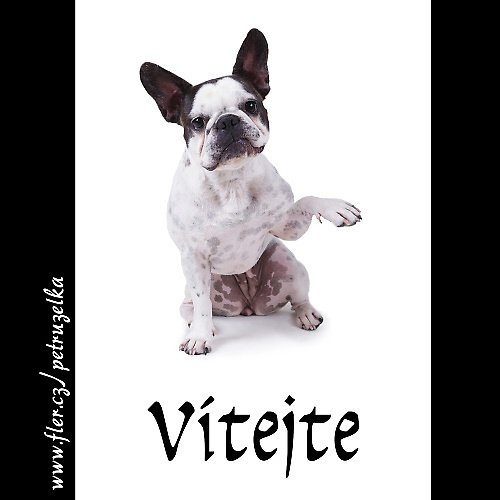 Vítejte - buldoččí — foto 1