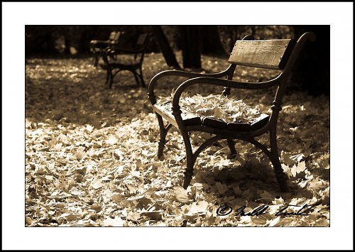 Podzimním spánkem ( 30 x 45 cm ) — foto 1