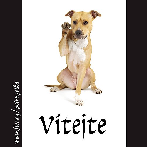 Vítejte-stafordí — foto 1