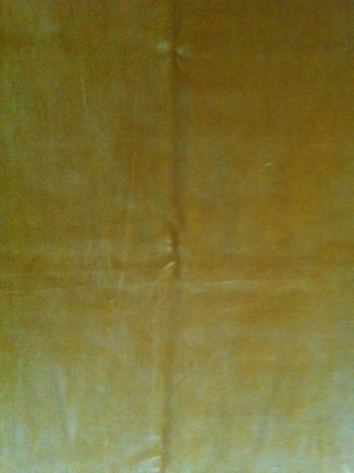 Samet zlatožlutý — foto 1