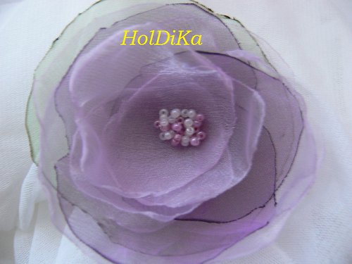 Růže růžová — foto 1