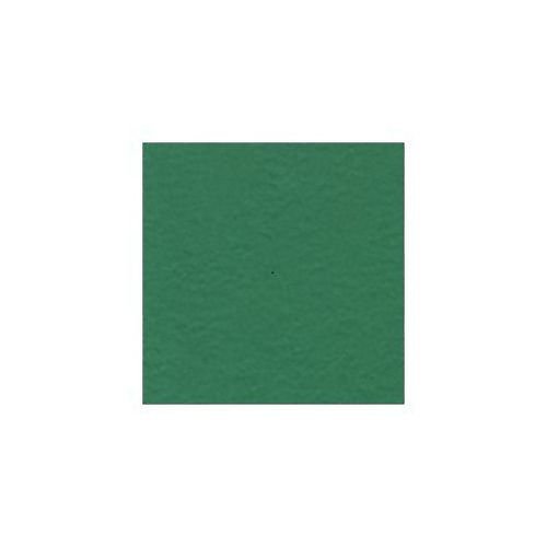 Čtvrtka Classic Green — foto 1