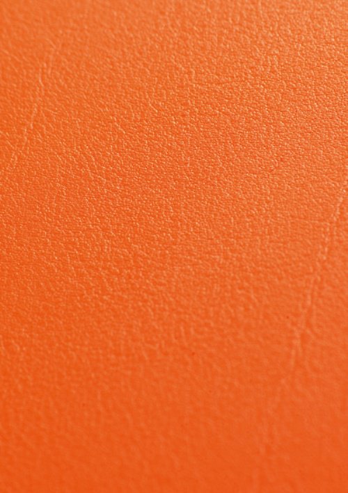 Koženka orange zářivá — foto 1