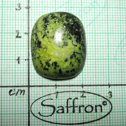 Serpentin kabošon 1 — foto 1