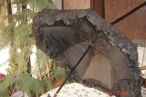 Paraple — foto 1