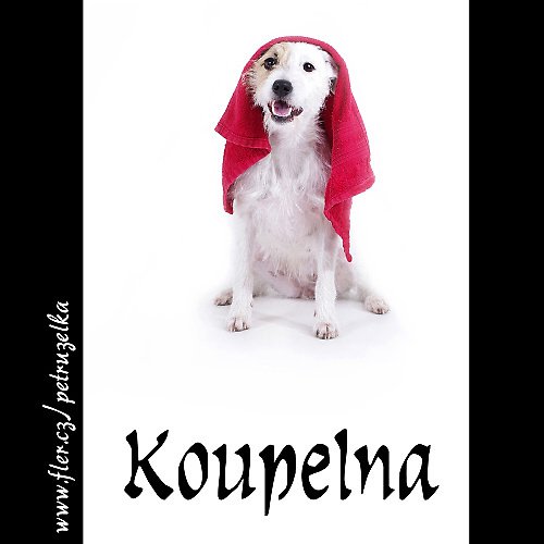Koupelna-parsoní — foto 1