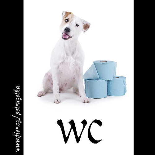 WC-parsoní — foto 1