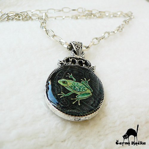 Žabí talisman — foto 1