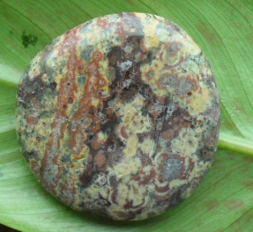 Jaspis leopard 43x43mm — foto 1