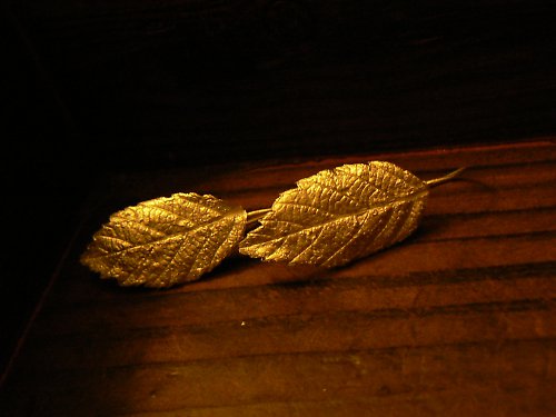 Ostružiny 4,...kolekce listy....mini — foto 1