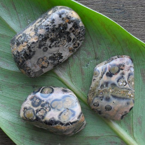 Jaspis leopard sada 3ks (23- 28 mm) — foto 1
