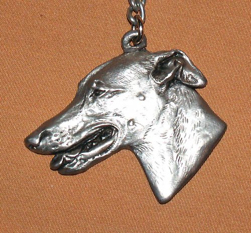 Greyhound — foto 1