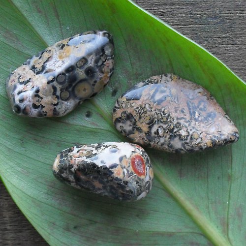 Jaspis leopard sada 3ks (22- 29 mm) — foto 1
