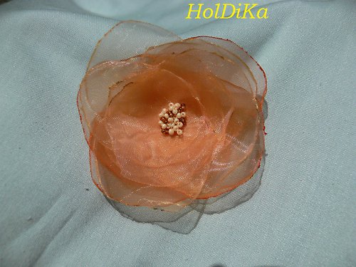Meruňkování — foto 1