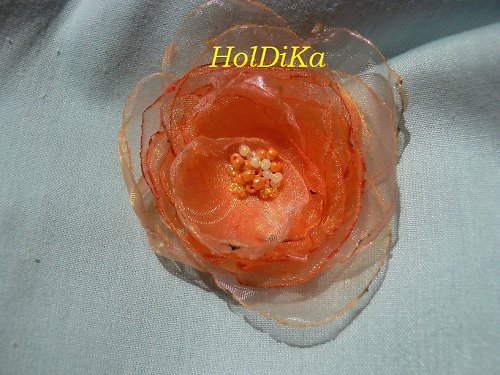 Mandarinky a pomeranče — foto 1