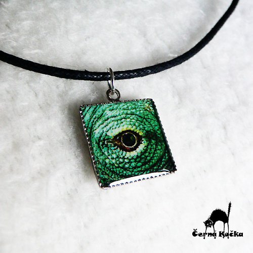 Chameleonovo očičko — foto 1
