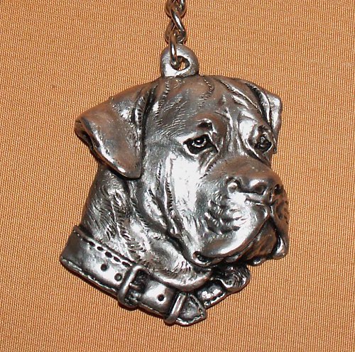 Cane Corso — foto 1
