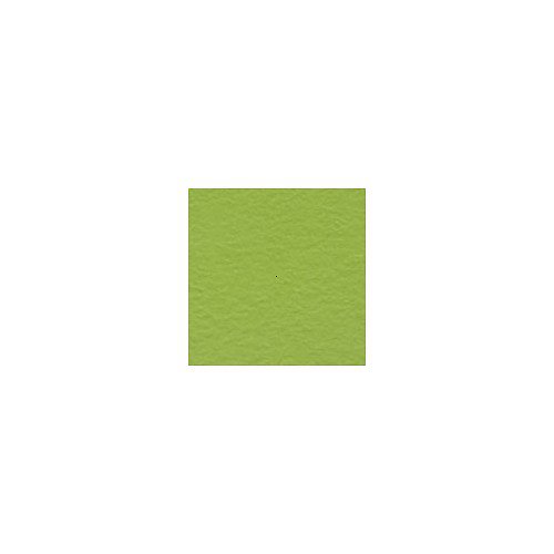 Scrapbooková čtvrtka - INTENSE KIWI — foto 1