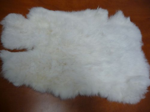 Králík 1 — foto 1