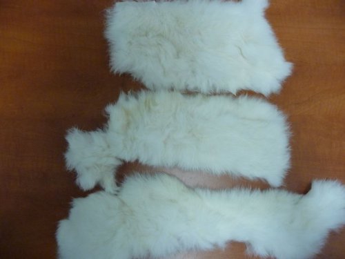 Králík - bílé zbytky — foto 1