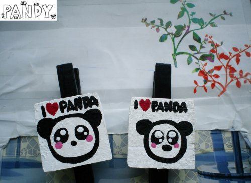 Pandí kolíčky na různé věcičky :)! — foto 1