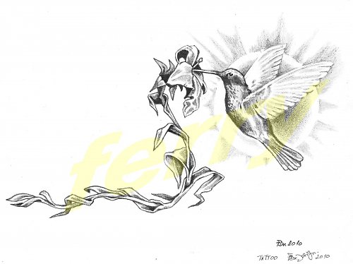 Flying in the sun — foto 1