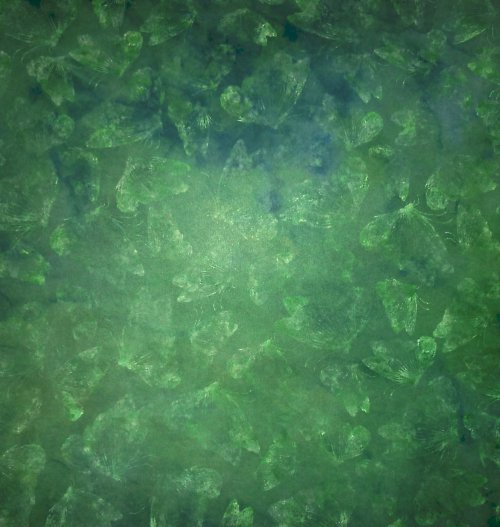 Papír Nature - Green Butterflies — foto 1