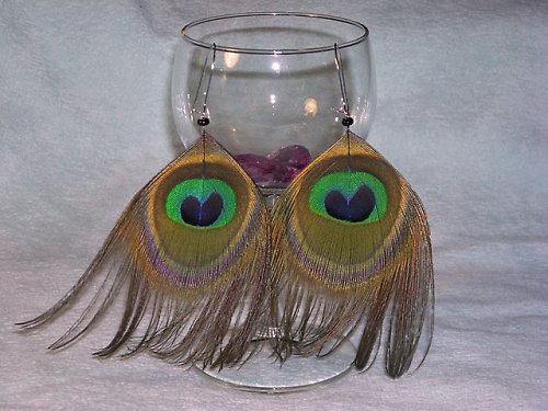 Paví krása — foto 1