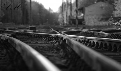 ...křížem - krážem... — foto 1