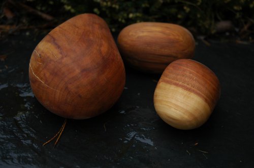 Meruňkové maxivalounky — foto 1
