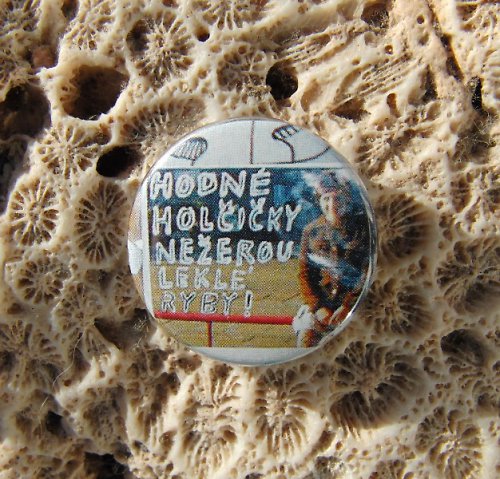 Hodné holčičky nežerou leklé ryby! :) — foto 1
